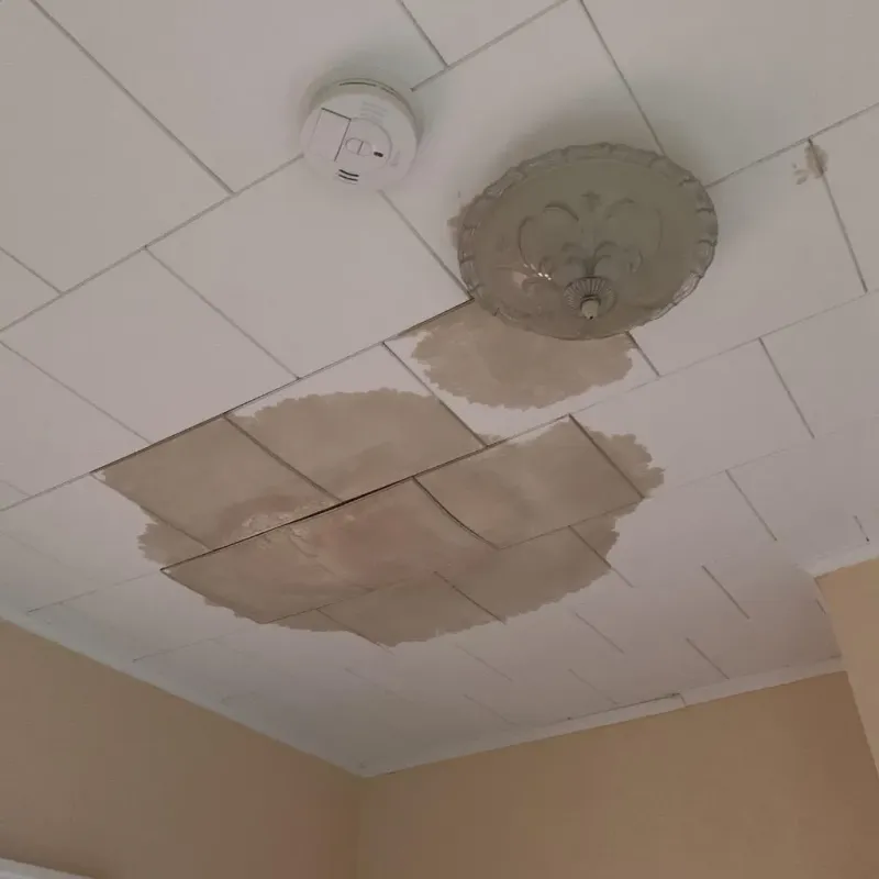 Ceiling Water Damage Repair in Little Rock, AR