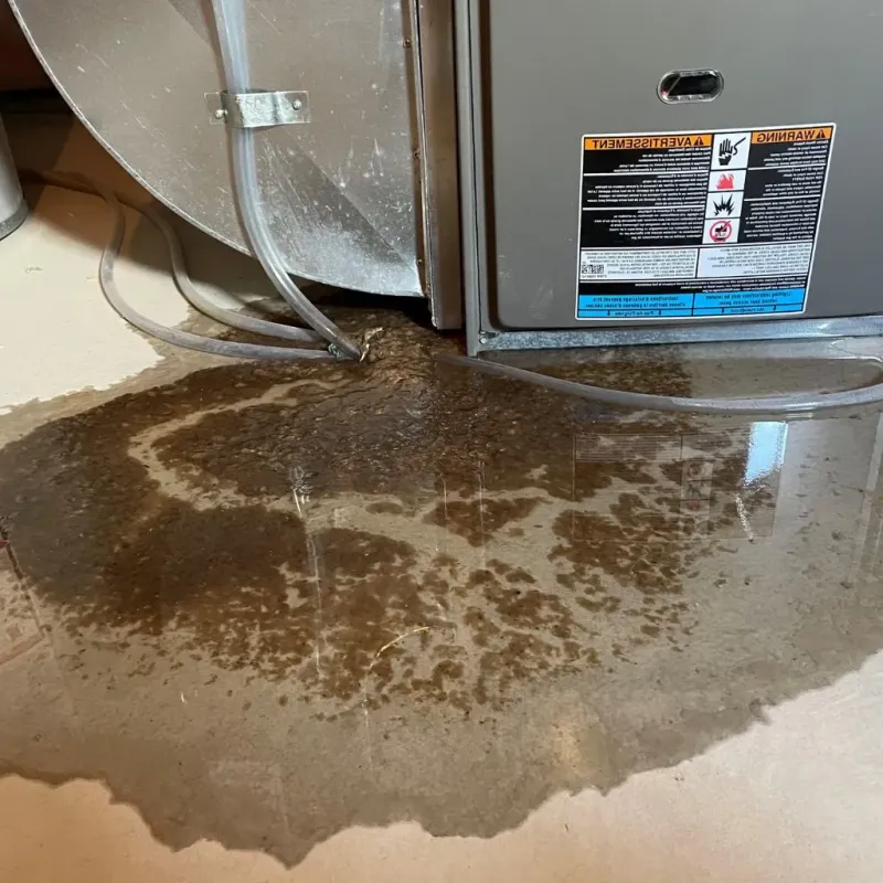 Pipe Burst and Leak Restoration in Little Rock, AR